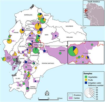 Extended-Spectrum Beta-Lactamase Producing-Escherichia coli Isolated From Irrigation Waters and Produce in Ecuador